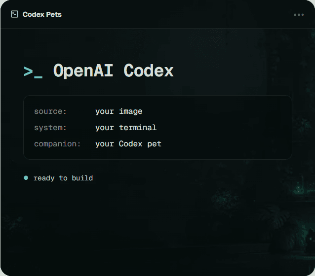 Codex CLI preview with a forest background